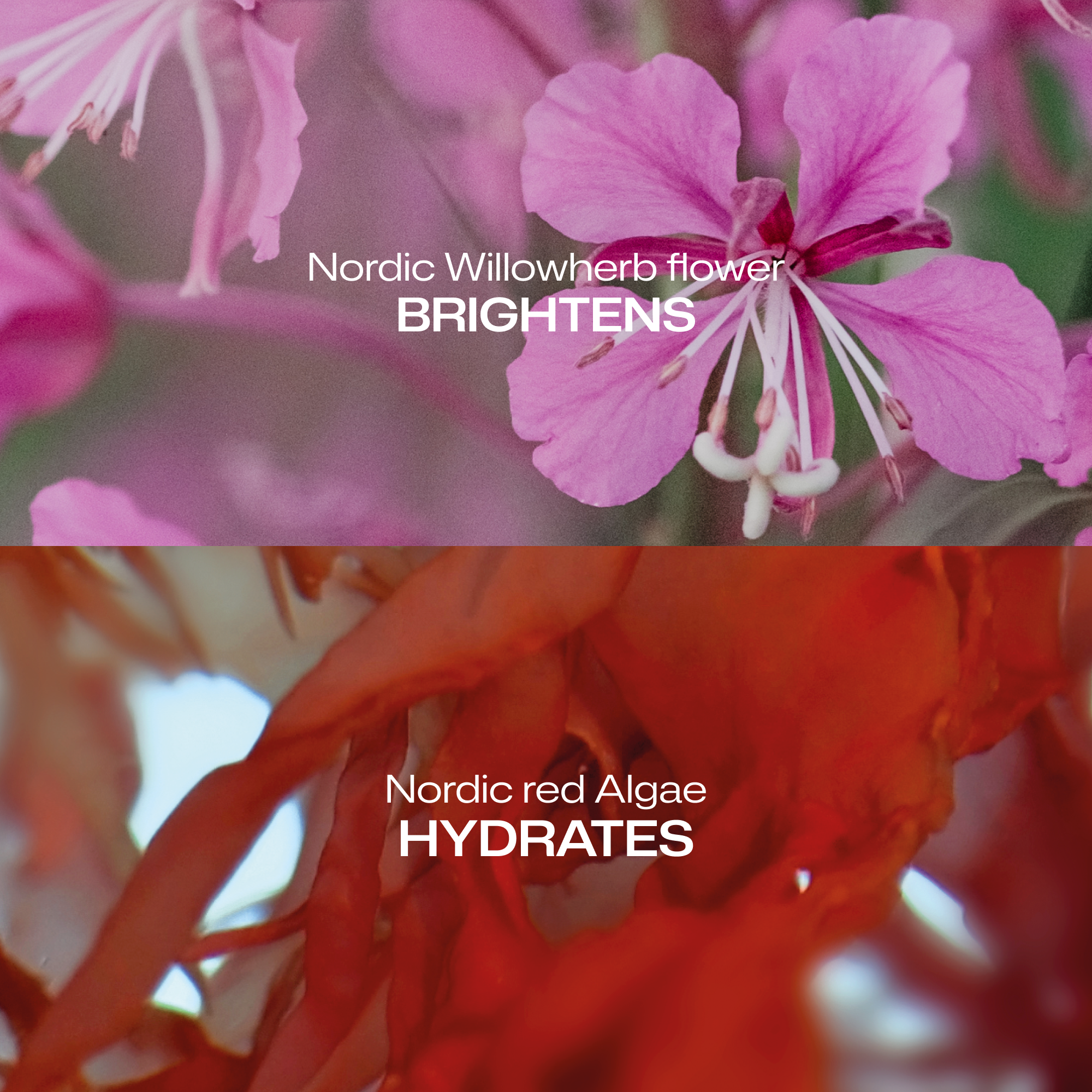 pure encapsulation liposomal glutathione glutathione supplement picture Shoutout alert!  Pure Encapsulations Liposomal  Glutathione was recognized by @voguemagazine as